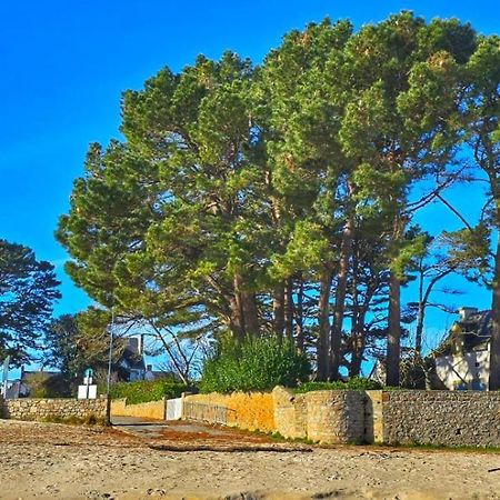 Cocon Neuf - 6 A 8 Pers 3 Chb Proche Plage, Port, Centre Ville Saint-Pierre-Quiberon Dış mekan fotoğraf
