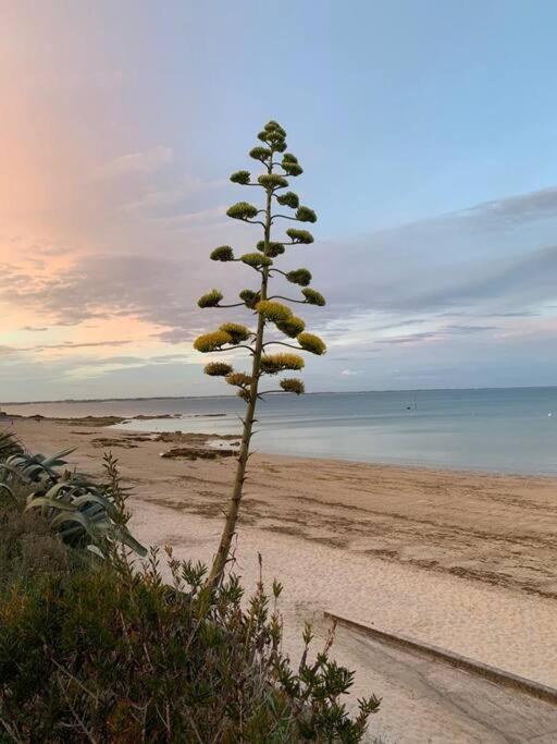 Cocon Neuf - 6 A 8 Pers 3 Chb Proche Plage, Port, Centre Ville Saint-Pierre-Quiberon Dış mekan fotoğraf