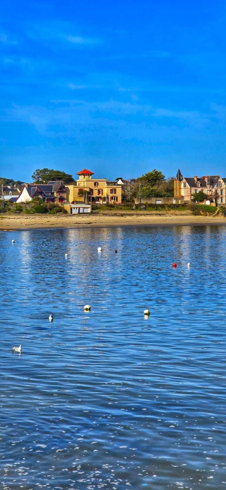 Cocon Neuf - 6 A 8 Pers 3 Chb Proche Plage, Port, Centre Ville Saint-Pierre-Quiberon Dış mekan fotoğraf